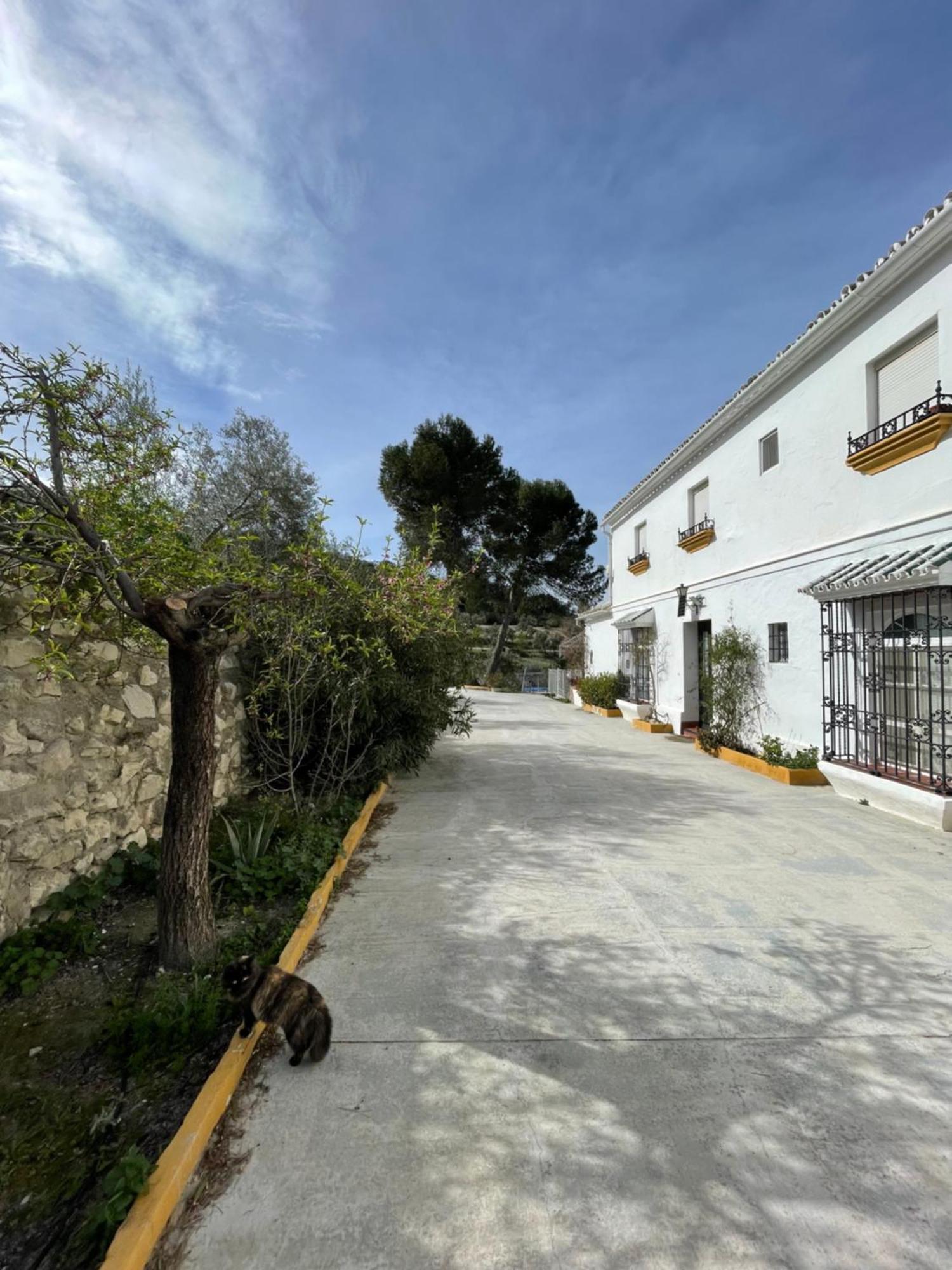 Vina Zarzarrosa Osuna Exterior photo